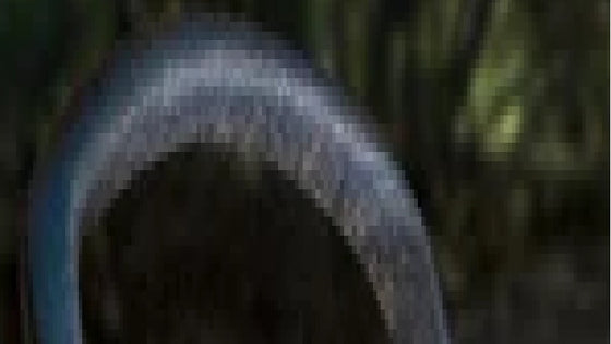 Foam Covering for Horizontal Frame Tube (Sold Individually 3 Needed for Unit)