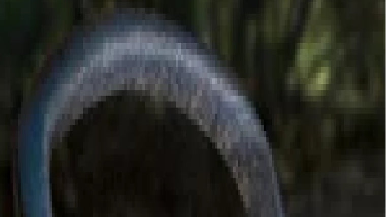 Foam Covering for Horizontal Frame Tube (Sold Individually 3 Needed for Unit)